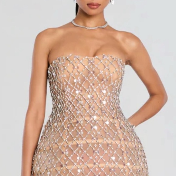 CURRENT SEASON Retrofete KATHLEEN CRYSTAL EMBELLISHED DRESS Silver Nude NWT - Picture 8 of 12